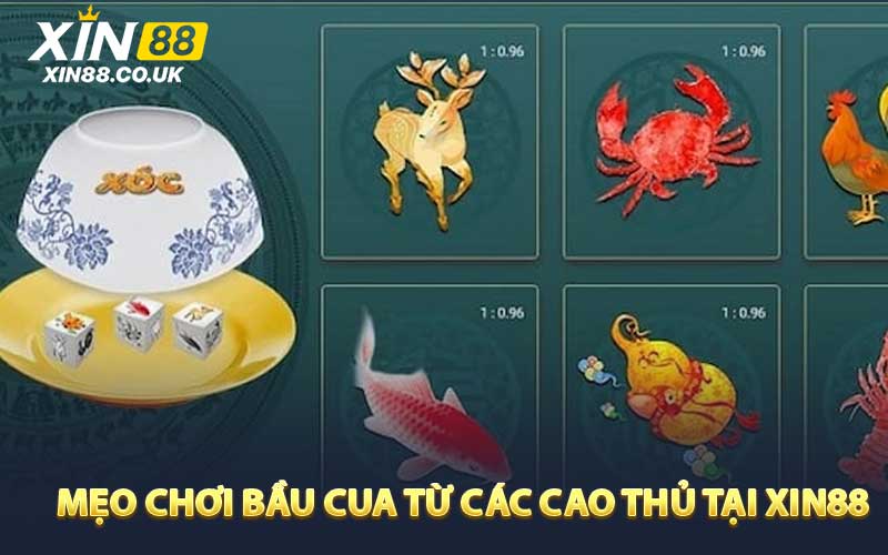 Mẹo chơi bầu cua từ các cao thủ tại XIN88 